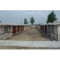 ؓ(f��)���L(f��ng)�C�B(y��ng)ֳ