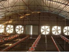 ؓ(f��)���L(f��ng)�C����